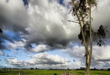 风云突变埃因霍温清晨战术微调，社区盾版图或变，更衣室稳定，轮换策略成焦点的简单介绍-pg官网入口